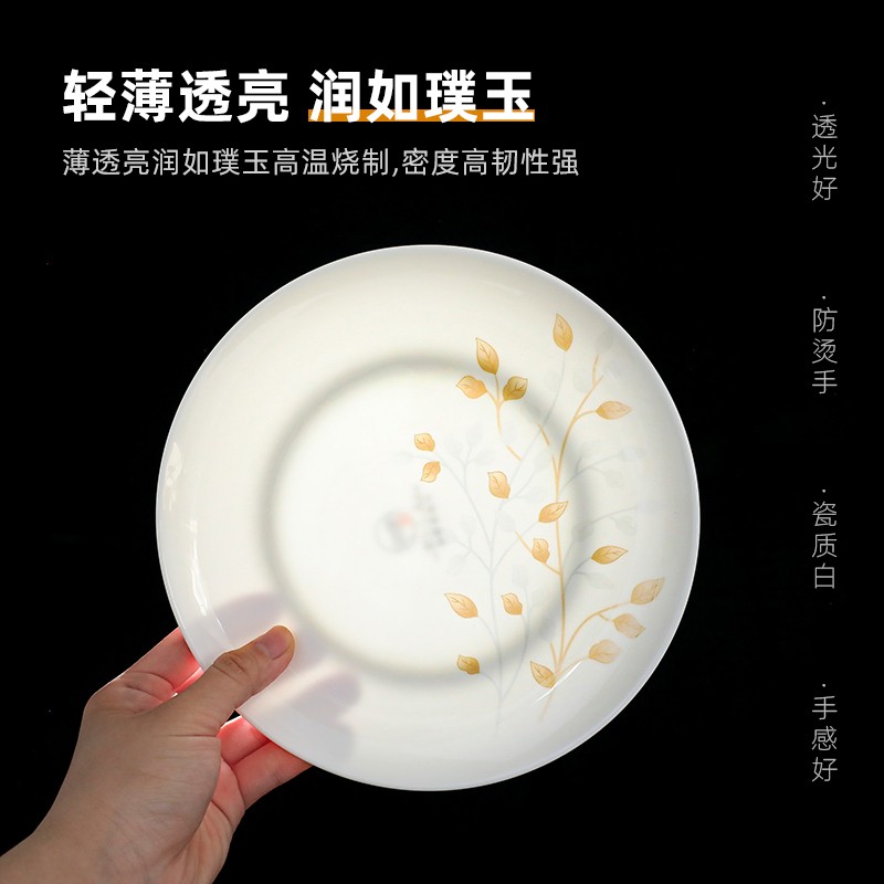 10只装骨瓷浅盘家用菜盘创意陶瓷碟子餐盘西餐牛排盘套装饭盘汤盘