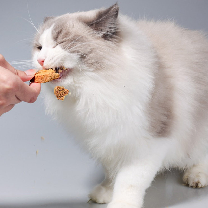 冻干宠物零食鸡肉鸡肝生骨肉饼猫狗宠物大桶通用奖励蛋白营养丰富