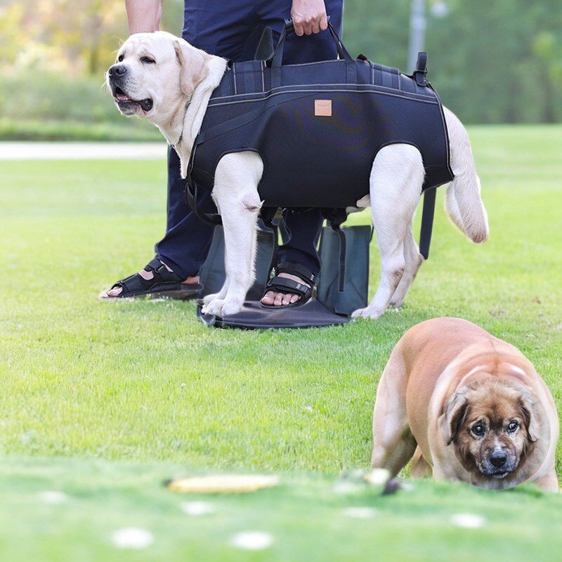 宠物中大狗背包中大型犬背包多功能户外包助行担架残疾辅助狗背包