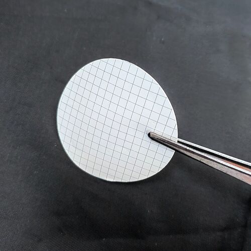 MCE格栅膜 格子膜白底黑格网格微孔滤膜水系50mm 0.22 0.45um50张