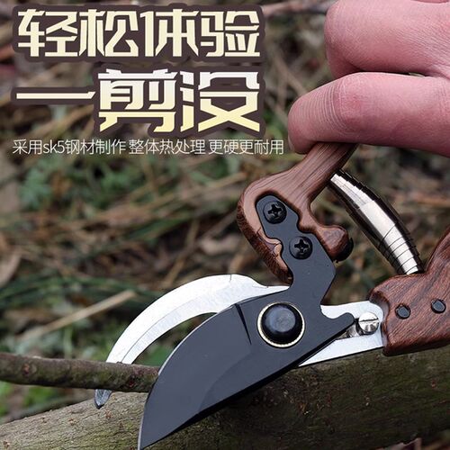 不锈钢修枝剪园艺剪刀剪树枝专用剪刀园林修剪果树修枝花艺修花剪