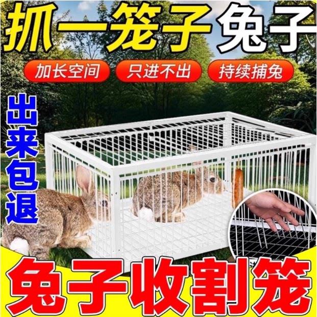 兔子捕捉器用品用具鸽子活络门撞门信鸽赛鸽用品加厚加密回笼门