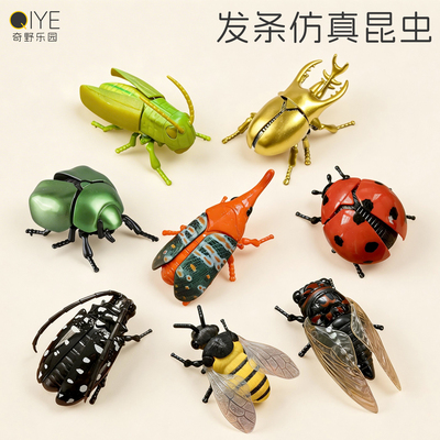 大号发条昆虫玩具仿真甲虫模型