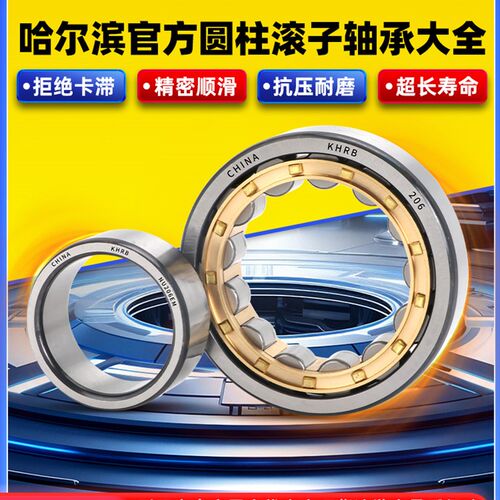 Khrb哈尔滨圆柱滚子轴承系列Nu Nj Nf N Rn Rnu 306 307 308 m Em