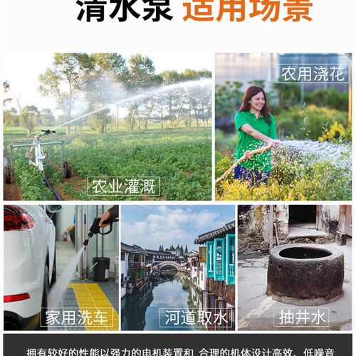 水泵家用不锈钢抽水机220V高压抽水泵农用灌溉高扬程小型潜水电泵