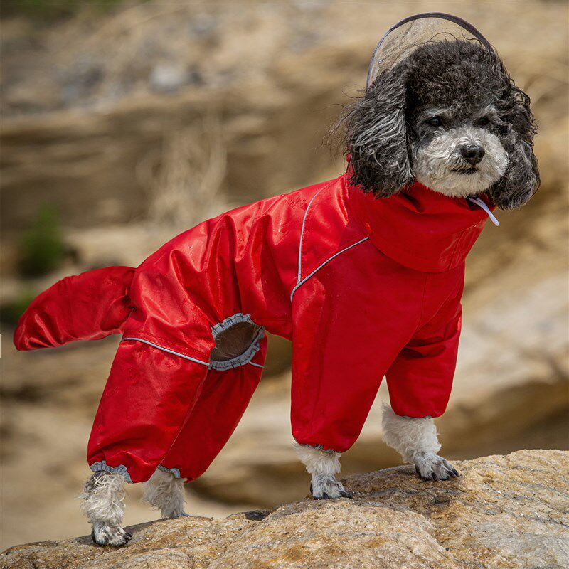 宠物狗狗雨衣小狗雨衣四脚全包中小型犬柴犬比熊雪纳瑞泰迪雨具