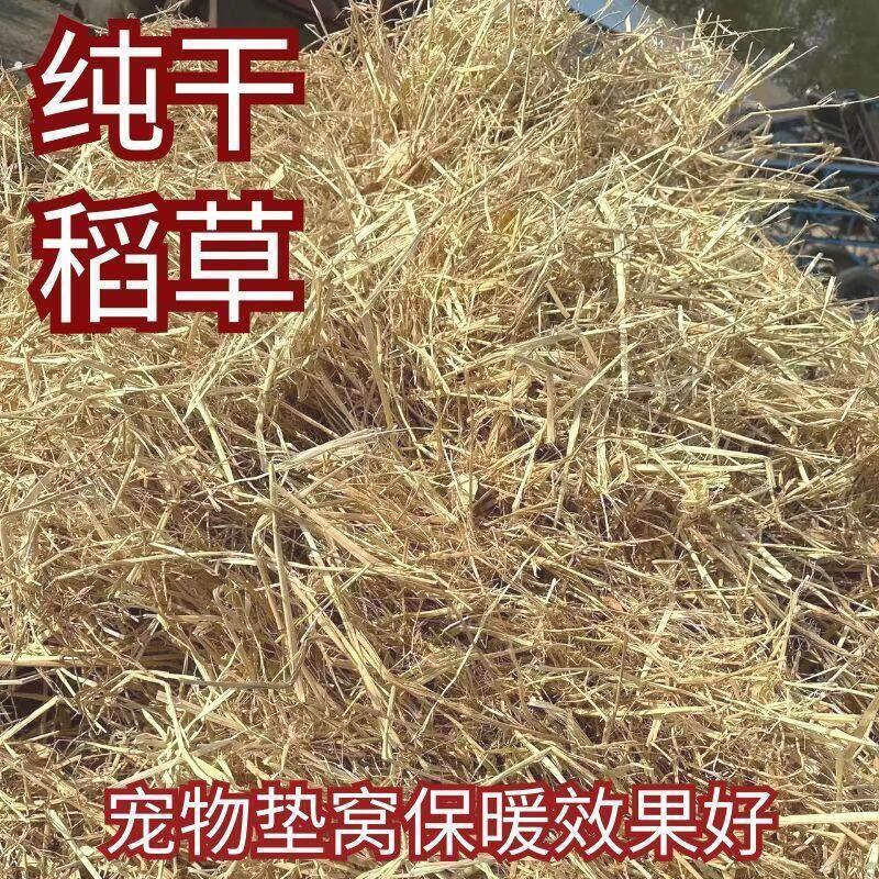新天然干稻草秸秆做霉豆腐的禾秆稻草屋顶装饰草帘子稻柴草绳谷草
