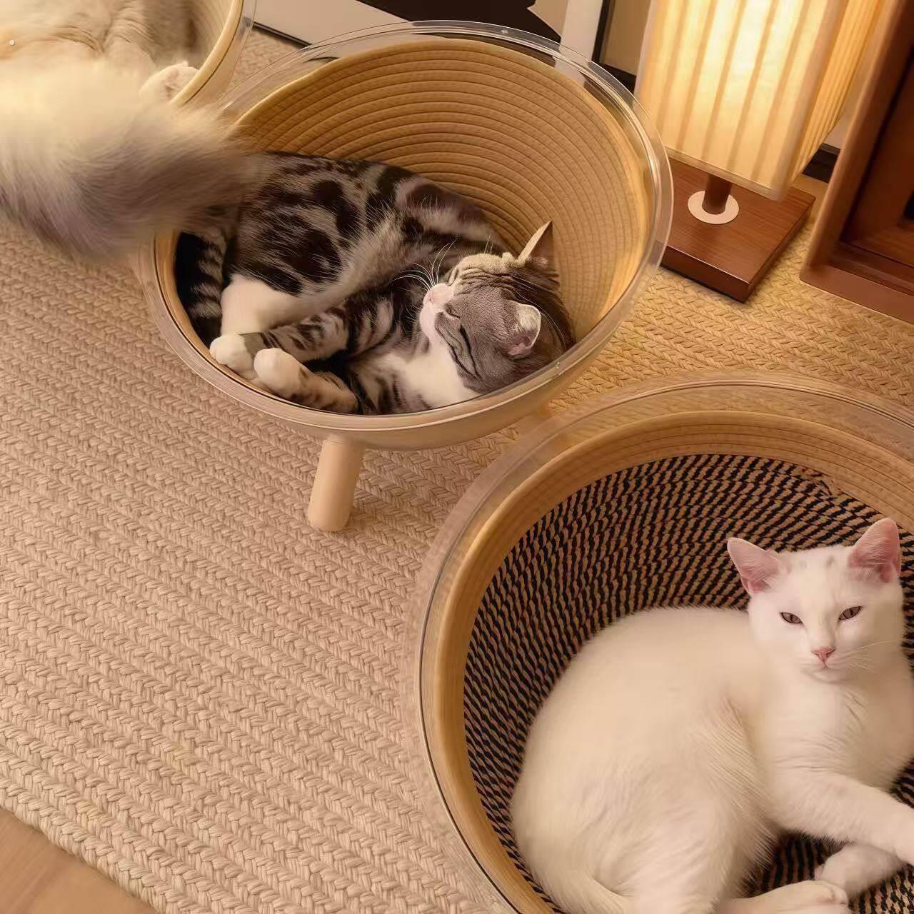 太空舱猫窝大号夏季四季通用透明实木四角半封闭式安全感猫咪睡窝