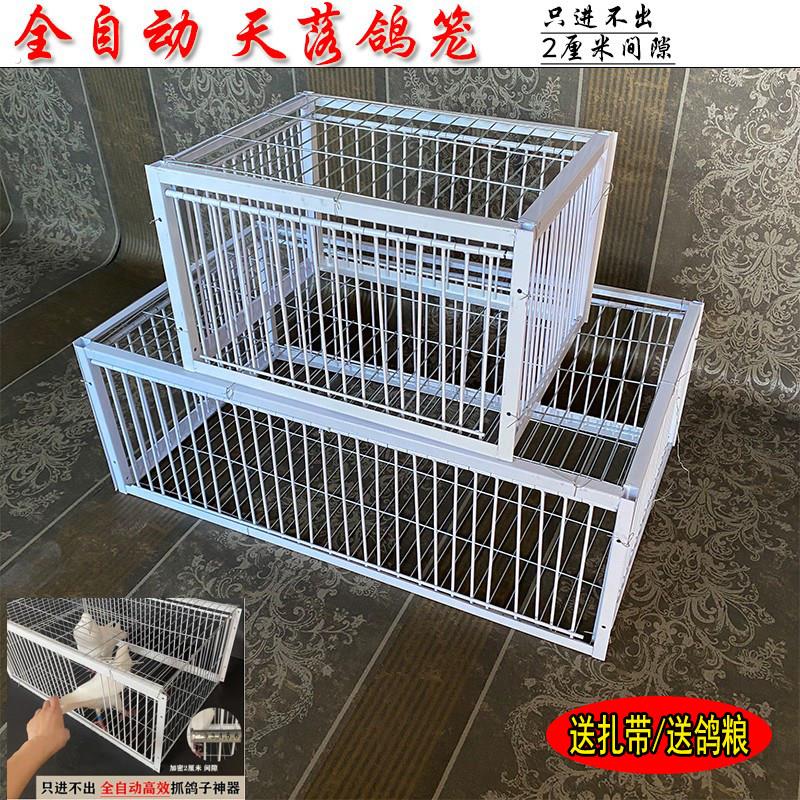 天落笼加密只进不出鸽子笼鸽子活络撞门笼自动收鸽鸽子笼鸽子神器图片