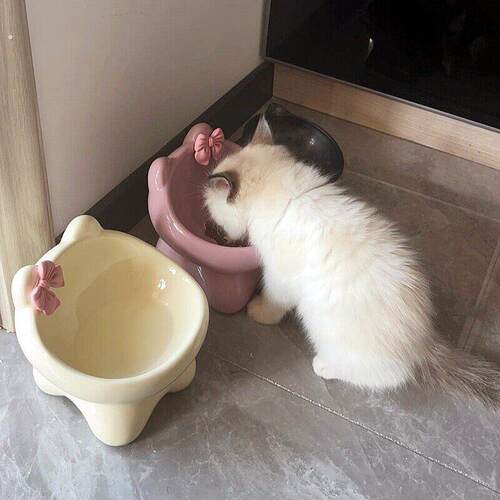 蝴蝶结陶瓷猫咪碗增高架防黑下巴猫食盆大口径防外溅慢食碗狗狗碗