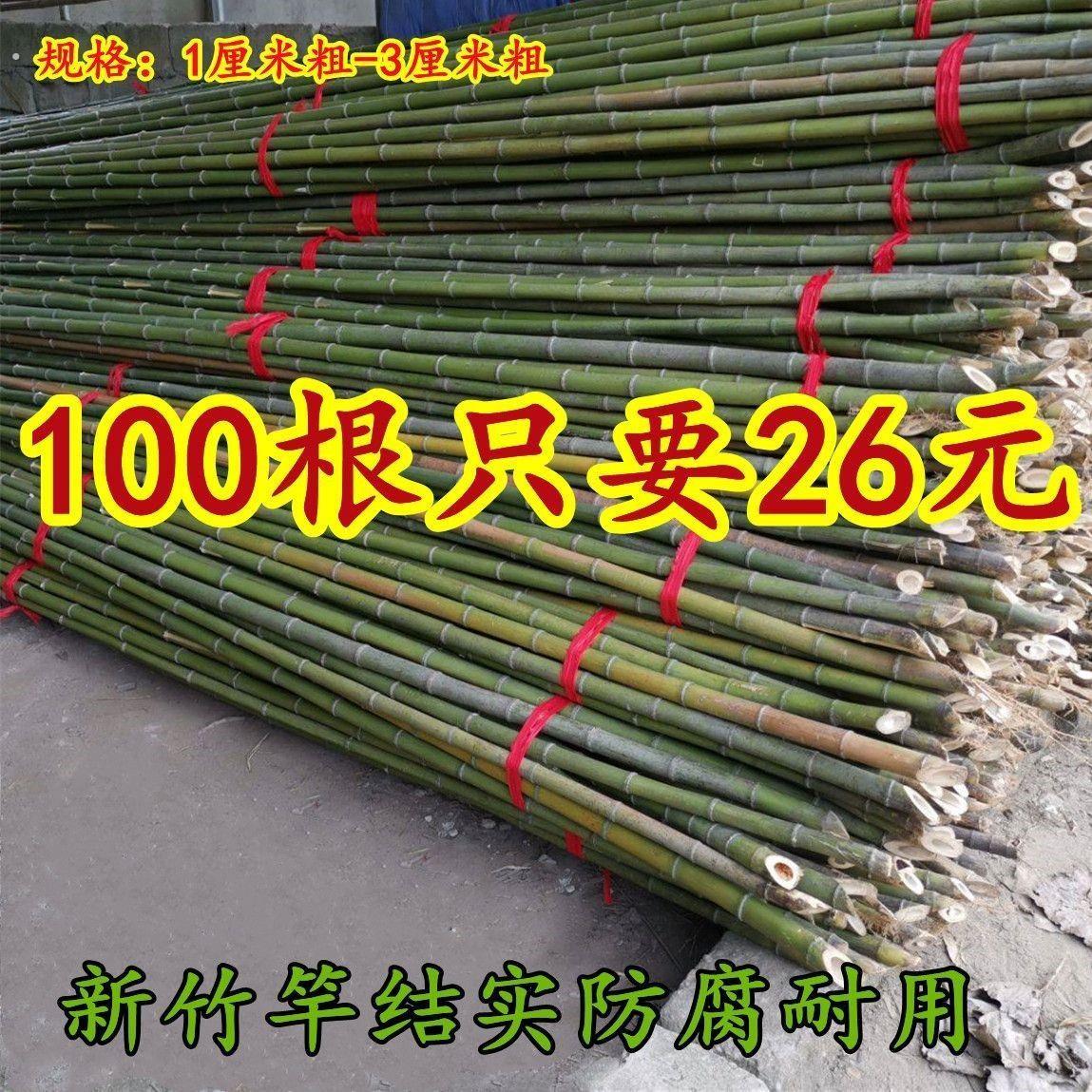 竹竿菜园搭架葡萄架蔬菜爬藤豆角架黄瓜竹杆棍篱笆栅栏防腐细竹子