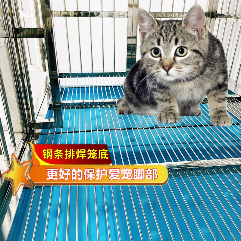 不锈钢分层双层宠物店寄养繁殖狗笼子犬舍医院折叠加粗厚玻璃定做
