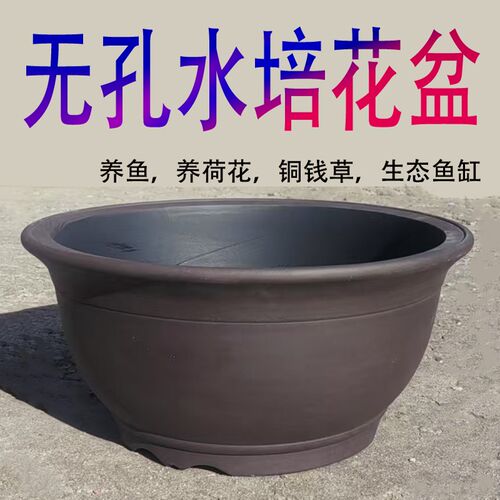 无孔紫砂花盆养鱼水培植物 简约风格陶瓷生态鱼缸适合铜钱草