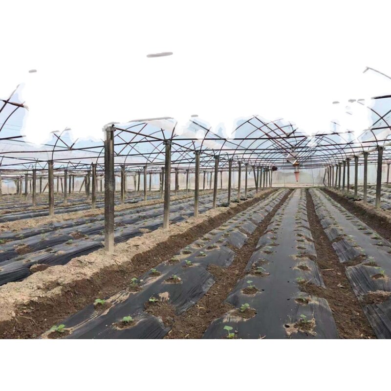 稼乐蜜可降解农用蔬菜地膜除草黑地膜白膜全生物降解环保水稻薄膜