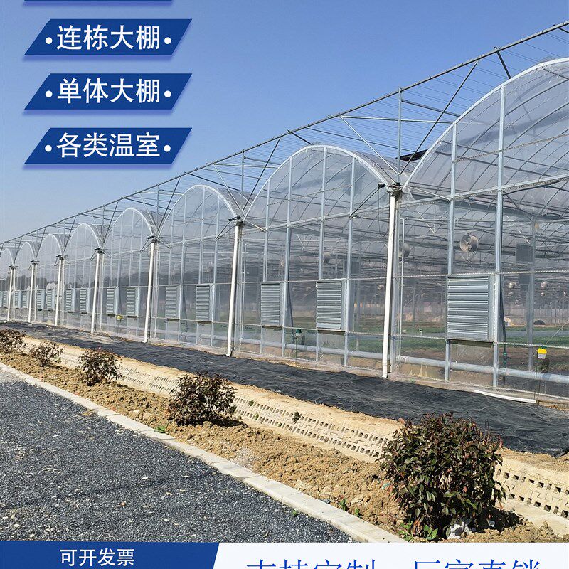 内外遮阳联动大棚连体薄膜骨架蔬菜花卉育苗连栋温室配件简易棚