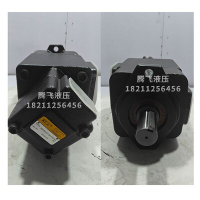 凯嘉VQ425-216-52-F-RLRA-02双联叶片泵VQ215/VQ325/DVQ435压铸机