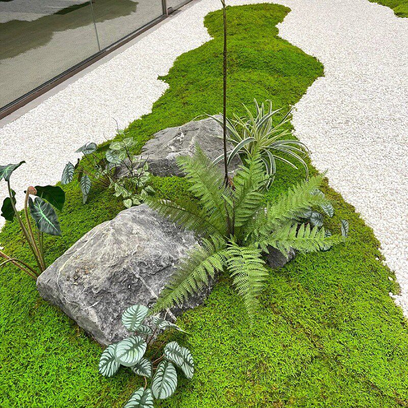 仿真苔藓椰丝青苔草皮微景观植物造景植物墙橱窗装饰绿植人造草坪
