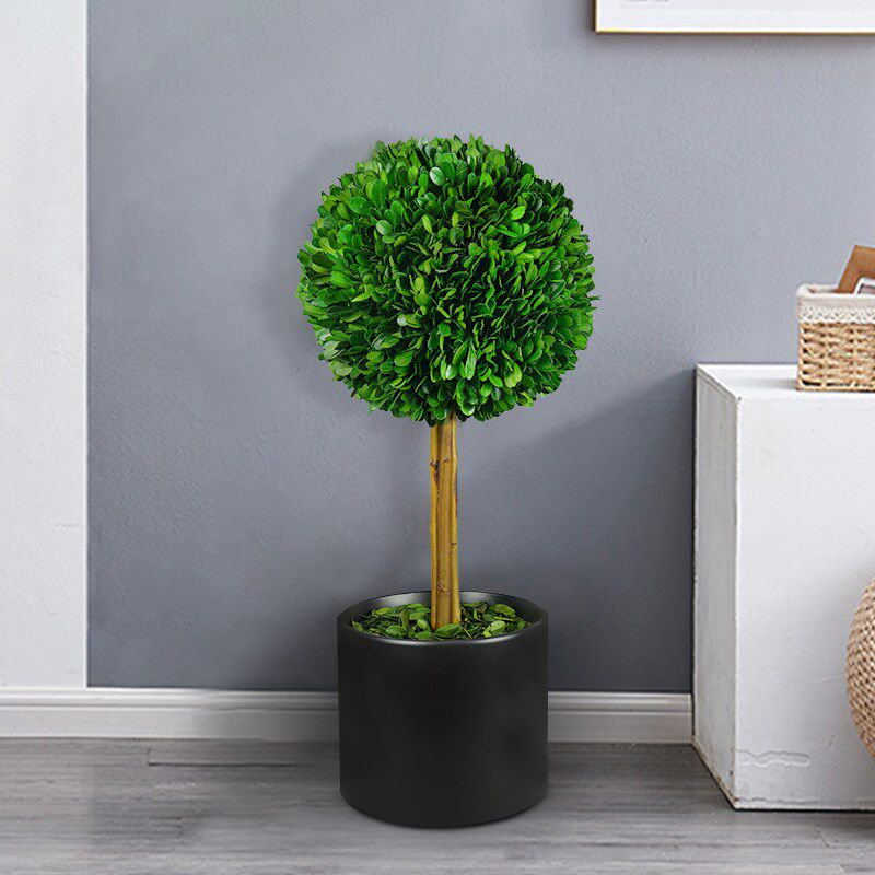 北欧ins客厅大型落地永生植物室内盆栽橱窗装饰绿植摆件黄杨球diy