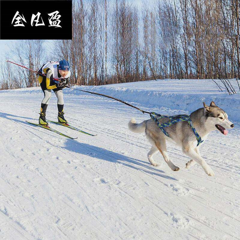 跑步遛狗绳胸背带大型犬背心式阿拉斯加雪橇犬牵引绳狗拉车狗拖车