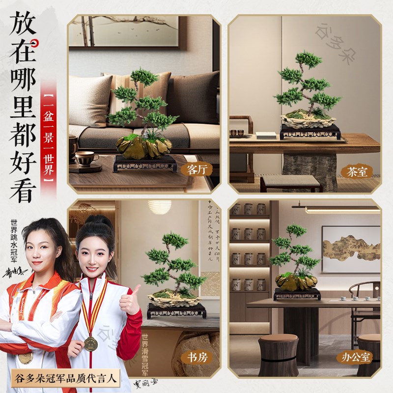 迎客松真树盆景五层塔松柏客厅办公室盆栽花卉乔迁开业四季常青图片