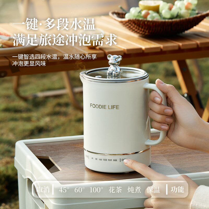 迷你电煮杯小型一人电炖杯便携式电炖煮杯电热烧水杯全自动加热杯