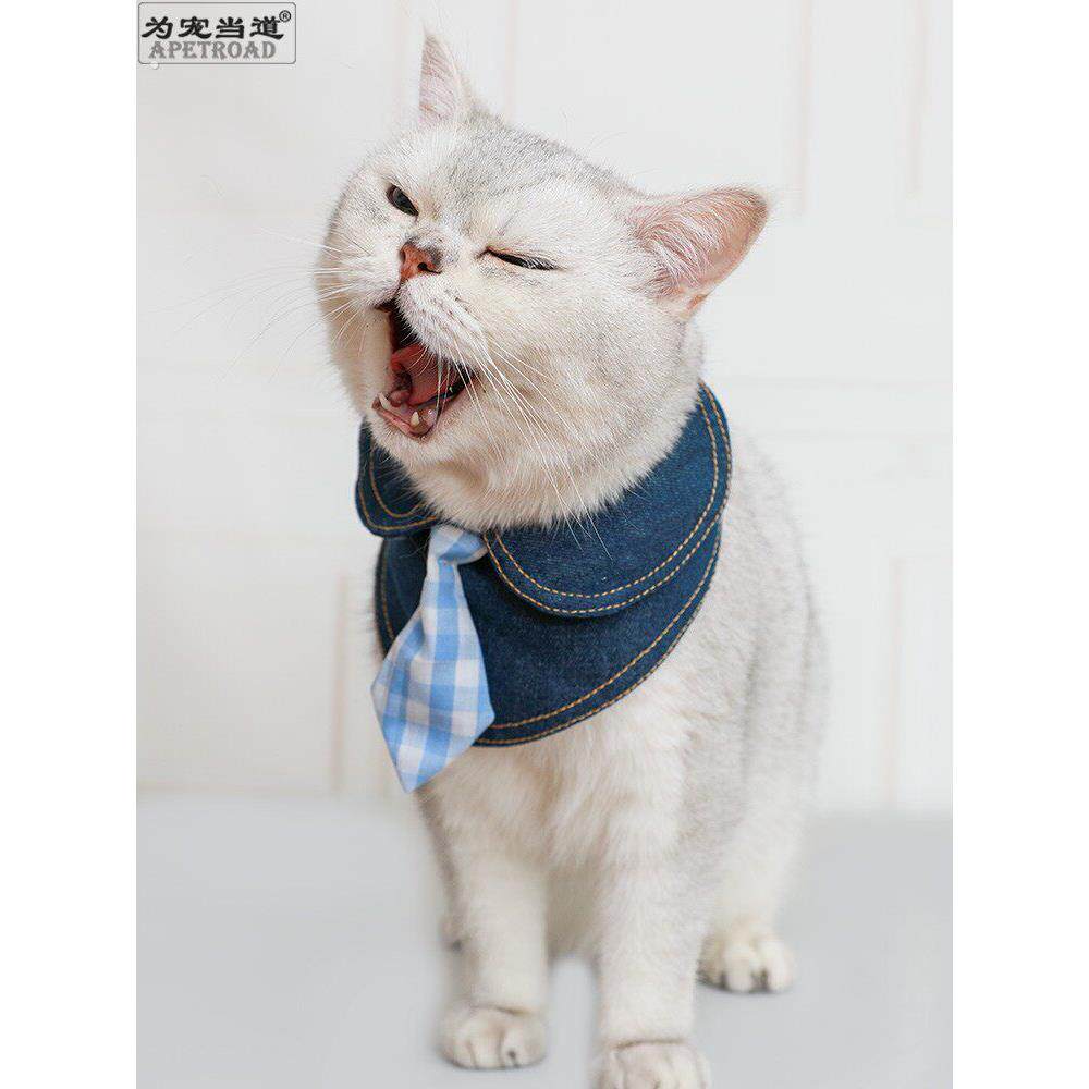 牛仔围兜宠物饰品猫咪蝴蝶结围脖英短围巾项圈口水巾狗狗领带领结