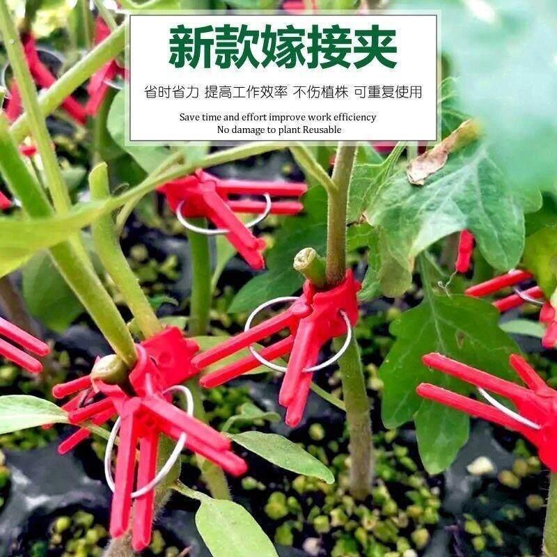 新款嫁接夹子叶仙嫁接蟹爪兰黄瓜番茄甜瓜茄子西瓜蔬菜育苗专新款