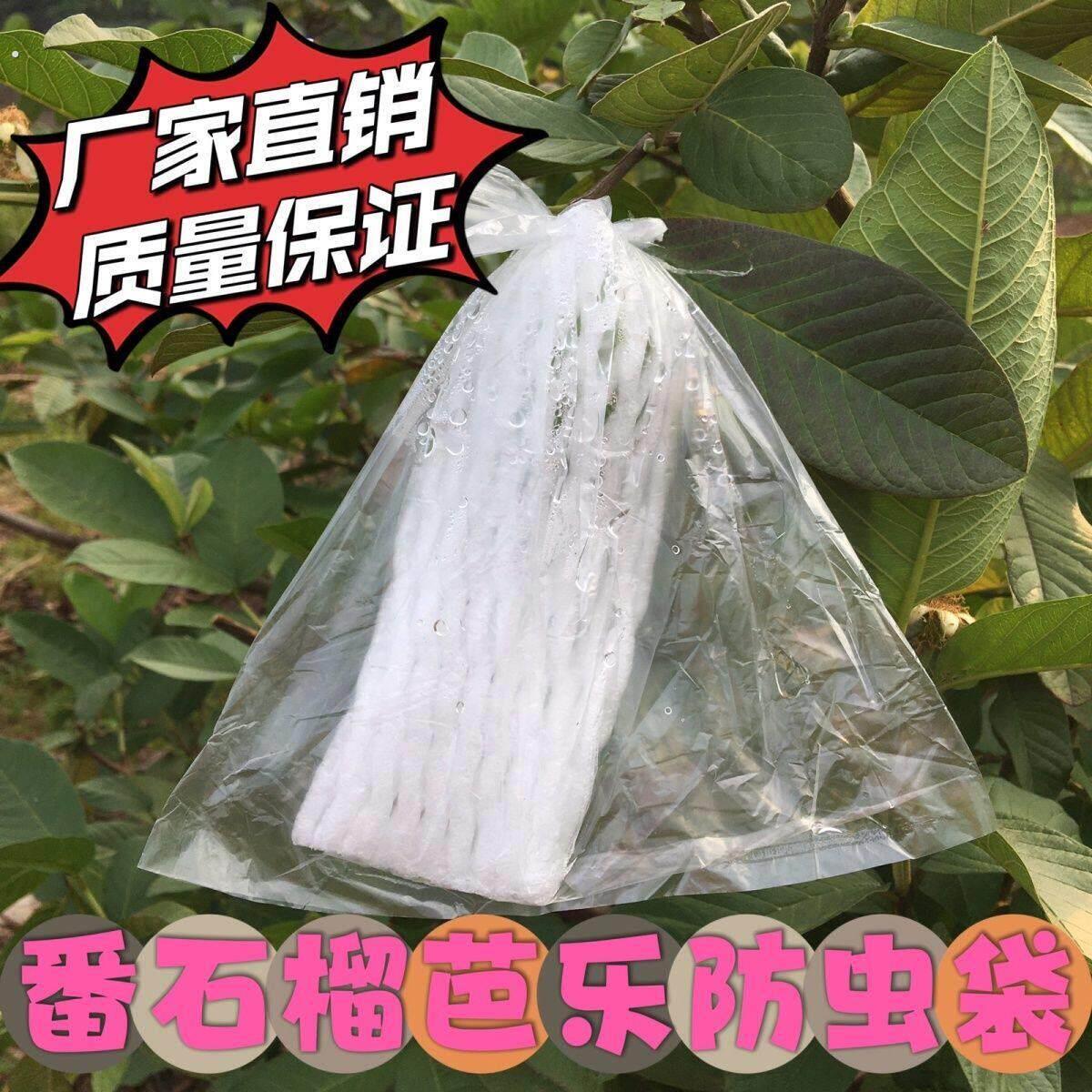 番石榴一体套袋芭乐袋子防尘防虫防雨防晒透明网眼加厚农用防水袋