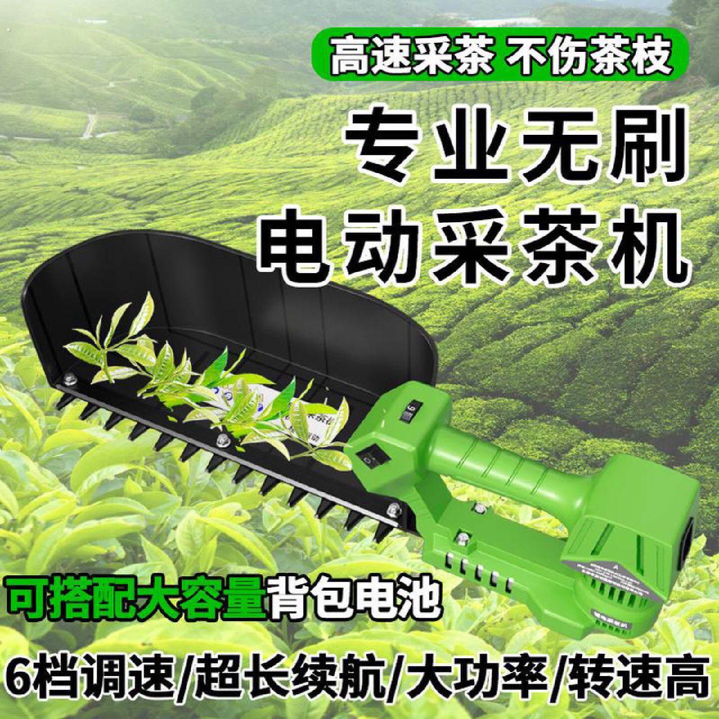 电动采茶机一芽一叶小型单人手持摘茶器嫩芽修剪神器多功能绿篱机