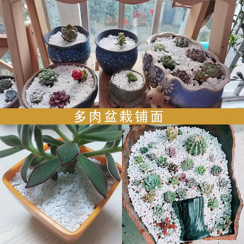 湖南天然白色石头雨花石鹅卵石多肉盆栽铺面小白石子鱼缸造景铺路