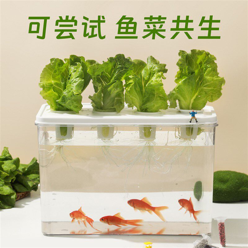 无土栽培智能花盆家庭水培蔬菜设备学生实验室观察生菜水耕种菜机