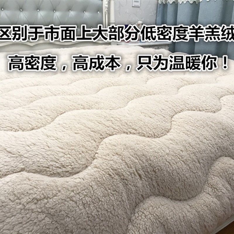 羊羔绒冬季保暖床垫加厚床褥子毛绒软垫夹棉双人垫子单人宿舍垫被