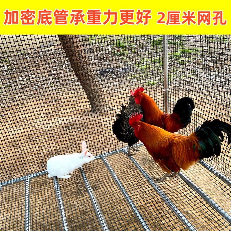 鸡舍户外鸡鸭鹅鸽笼养鸡笼养鸡防雨大棚鸡圈鸡笼子家禽养殖笼离地