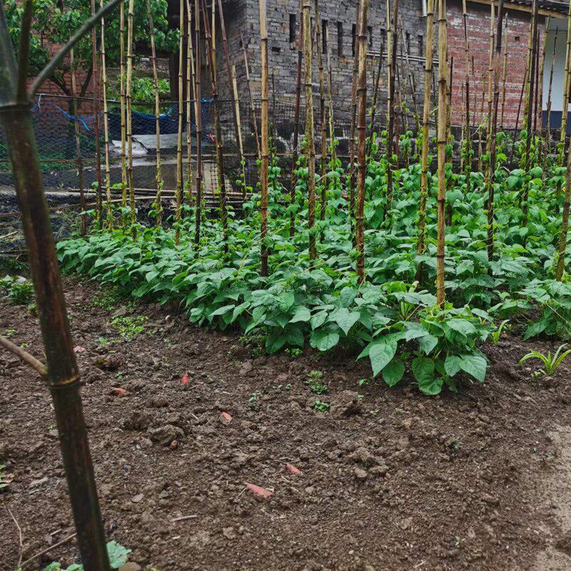 优质田园土泥土天然黑土种菜专用土种植土盆栽通用土壤种树养花土