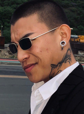 攀娘同款复古太阳眼镜男士潮流偏光太阳镜开车网红个性小框方形眼