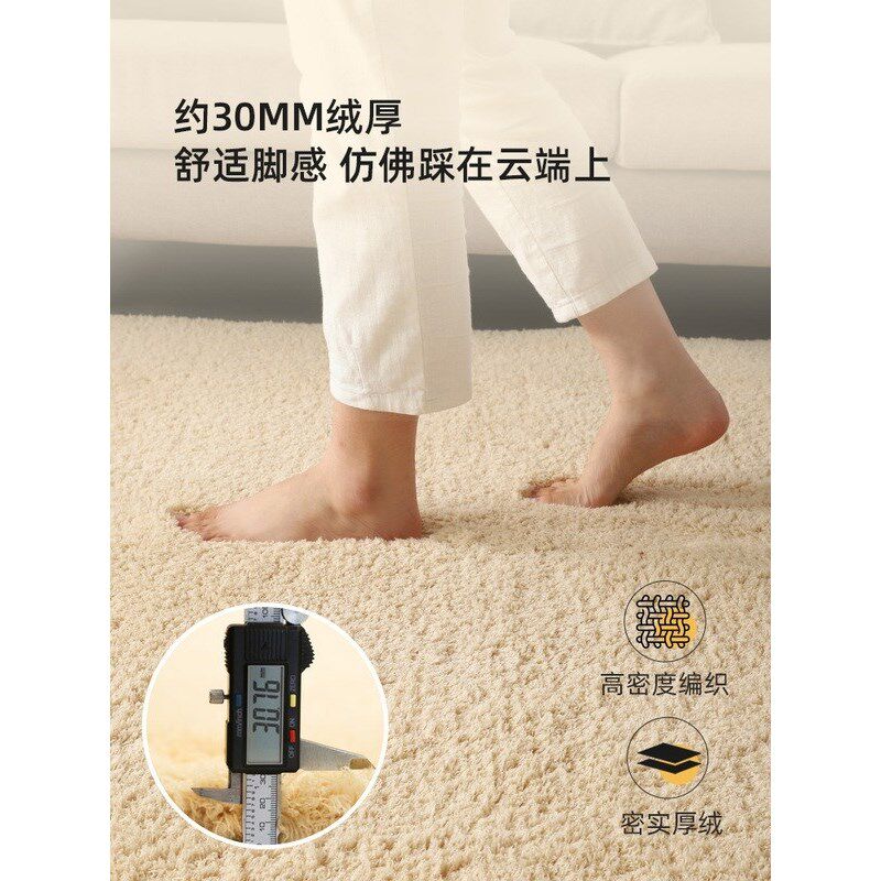 客厅高档羊羔绒毛加厚地毯卧室飘窗垫房间床边毯长条脚垫进门地垫