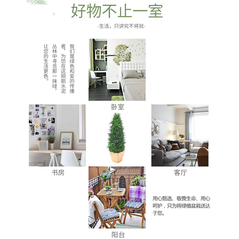 圣诞节柏树植物花卉盆栽办公室桌面绿植家居创意好养创意手工摆件