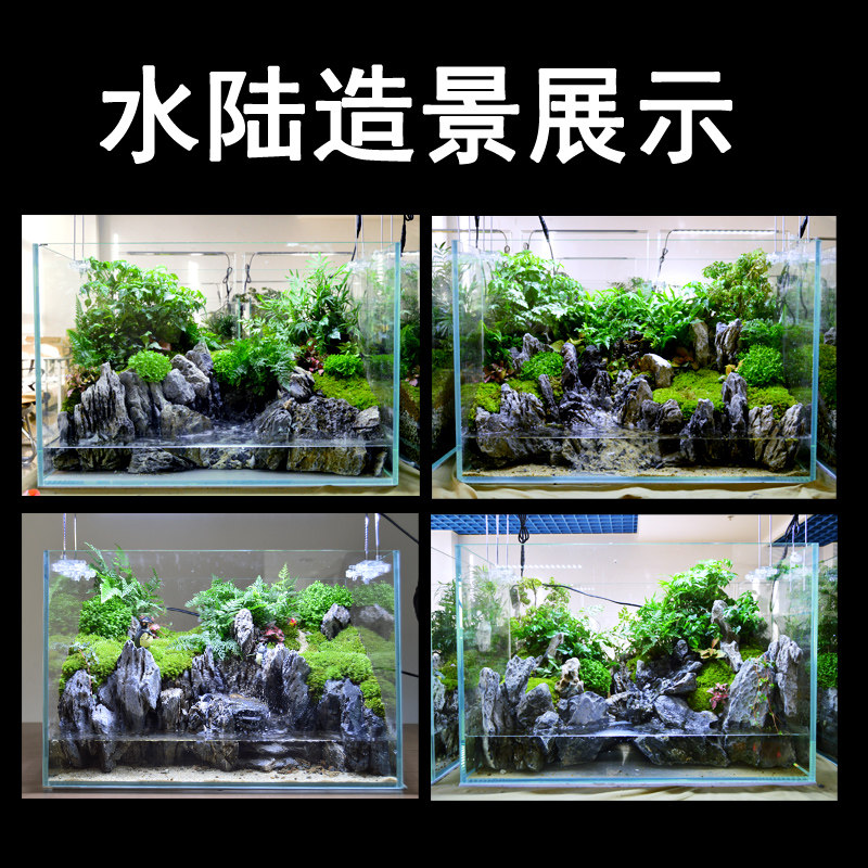 吉景佳水陆缸造景套餐超白鱼缸生态缸两栖乌龟缸微景观植物雨林缸