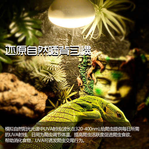 Rep-Shop爬虫日灯UVA陆龟蜥蜴爬宠乌龟日间饲养箱加热保温灯
