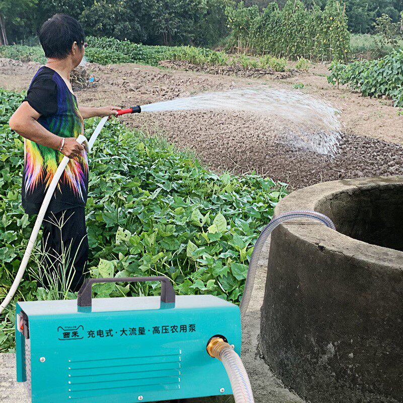 充电水泵农用灌溉抽水机浇菜高压一寸大流量抽井水12v隔膜抽水泵