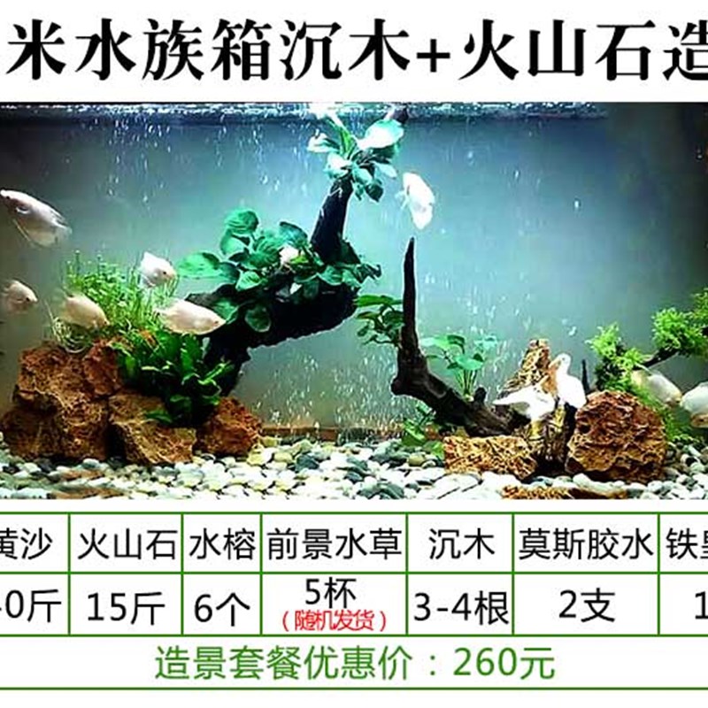 鱼缸造景套餐真水草沉木1.2米水族箱假山石成品全套活体水草包邮