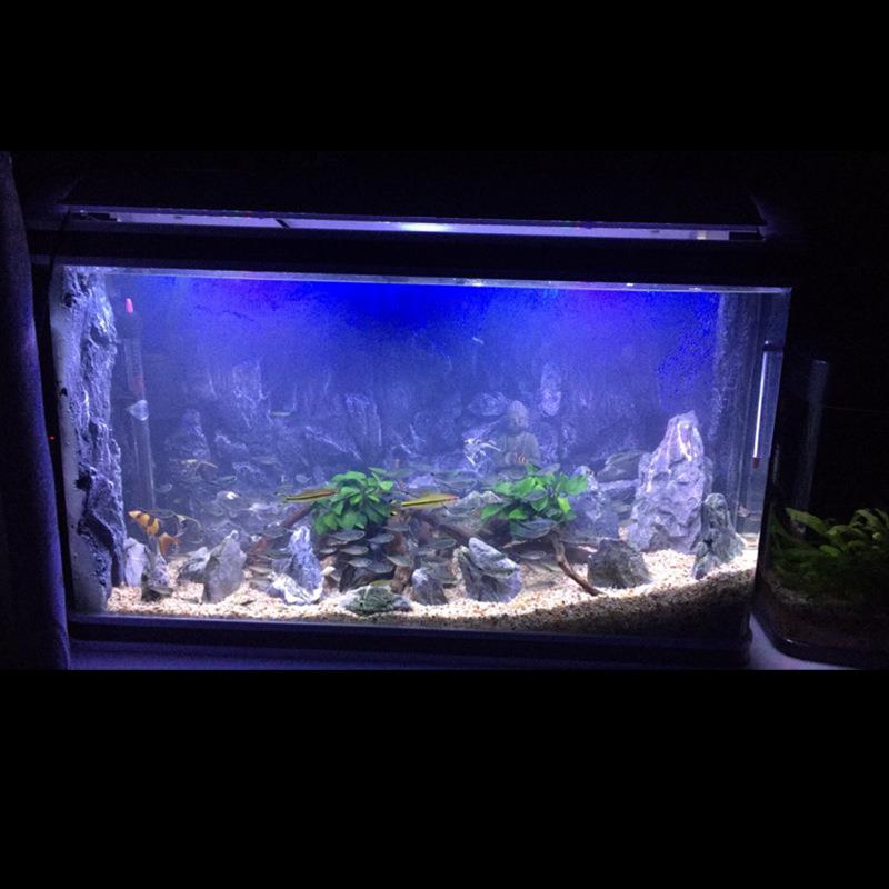 鱼缸3d背景板PU造景墙3d立体感爬宠水族箱龟箱高端岩石背景墙装饰