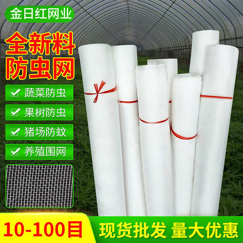 农用蔬菜菜地种菜大棚专用防虫网果树防鸟网防果蝇纱网打井过滤网