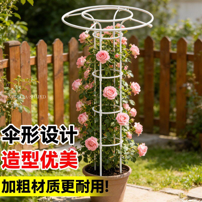 月季爬藤架伞形花架园艺支柱阳台庭院户外蔷薇攀爬架植物支撑架杆