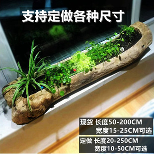 玉坠多肉花盆长方形木头树桩特大口径木质创意庭院原木木槽盆景盆