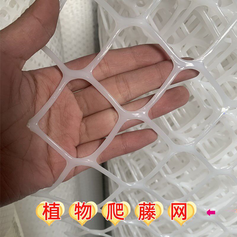 蔷薇爬藤网网塑料白色网架藤蔓植物月季墙面攀爬支架室内花架牵引