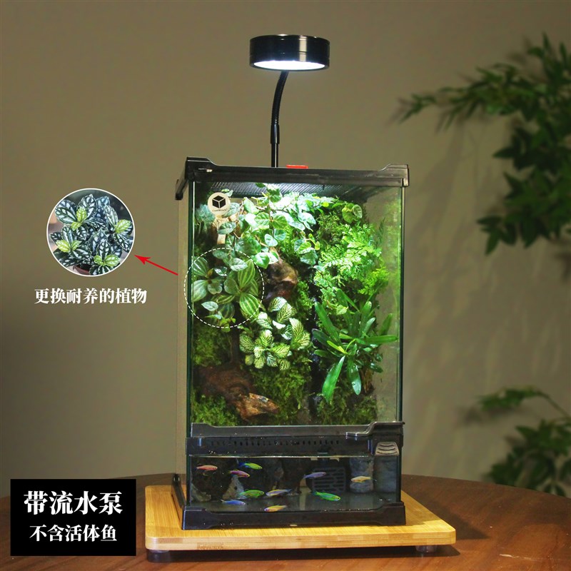 苔藓微景观雨林生态缸水陆缸玻璃生态闷养桌面创意盆景绿植可养鱼