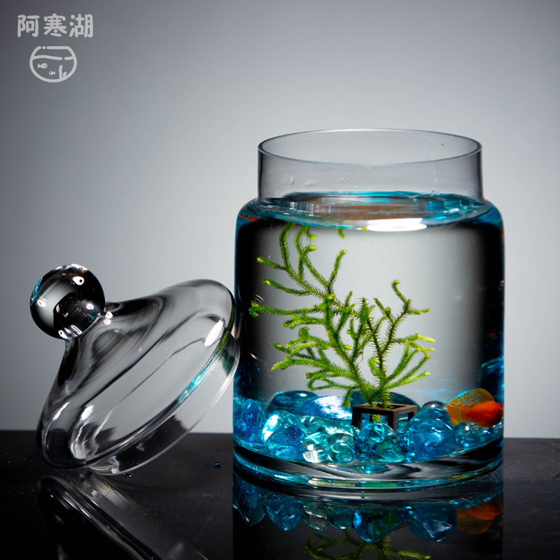 玻璃鱼缸小型客厅迷你斗鱼缸带盖子金鱼缸懒人桌面微景观生态瓶