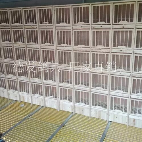 鸽具赛鸽 信鸽 巢箱 养殖配对笼 鸽舍用品比赛鸽笼抱窝养殖鸽子笼