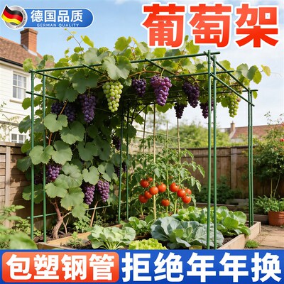 葡萄架子庭院户外葫芦爬藤架百香果攀爬架支撑包塑钢管瓜架杆家用